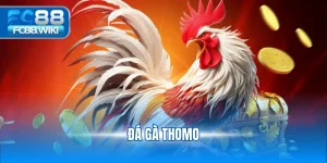 Đá Gà Thomo
