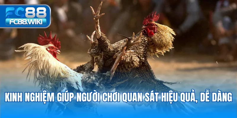 Kinh nghiệm giúp người chơi quan sát hiệu quả, dễ dàng