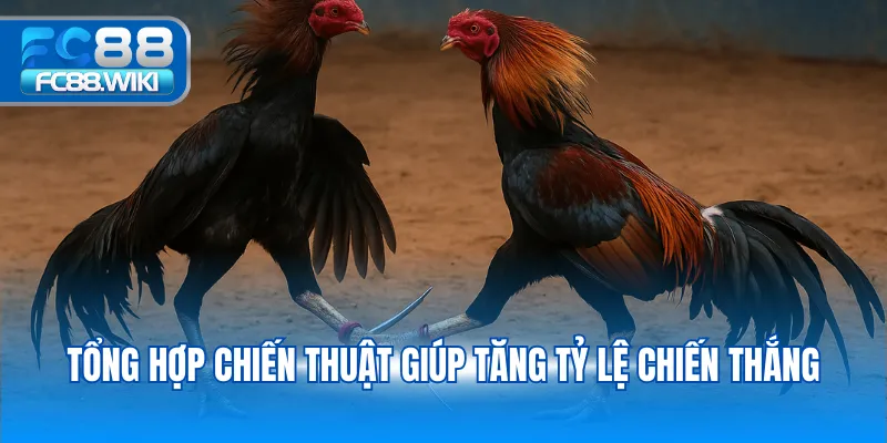 Tổng hợp chiến thuật giúp tăng tỷ lệ chiến thắng