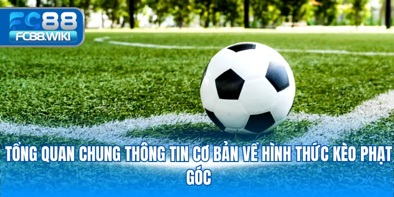 Tổng quan chung thông tin cơ bản về hình thức kèo phạt góc